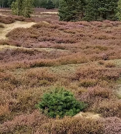 Apartamento De Luet *