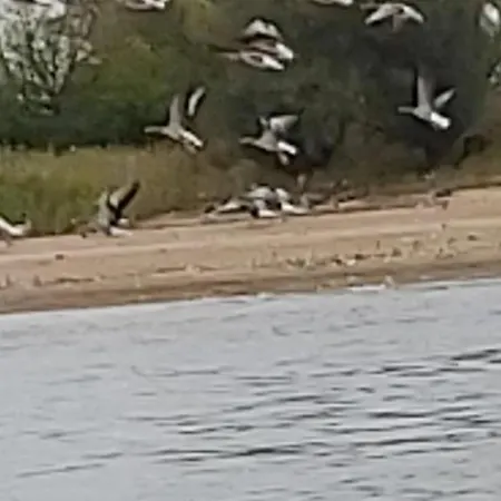 Apartamento De Luet *