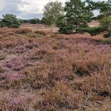 De Luet 아파트 *