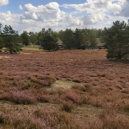 De Luet Apartamento *