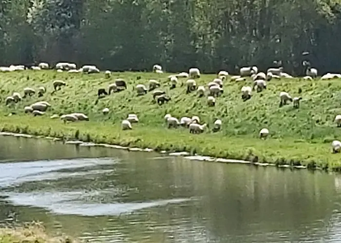 Lägenhet De Luet Jameln